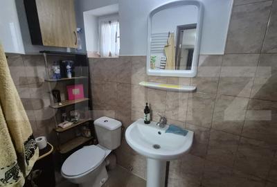 Casa cu 2 camere, 65 mp, teren 2910 mp, in Viile Satu Mare - 16