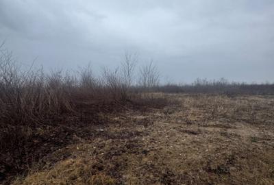 Teren de 8200 mp, în Tăuții-Măgherăuș - 2