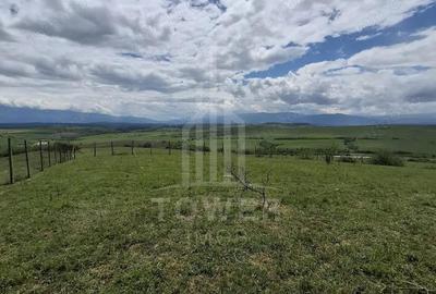 De vanzare, teren 11.500 mp Dealul Daii, Vedere panoramica spre mun?i ?i lac - 6