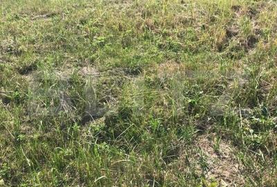 Teren de 735 mp, în Dumbrăvița - 1