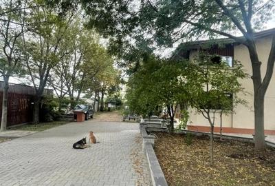 SE VINDE VILA CU DESCHIDERE LA LACUL SNAGOV LA CEL MAI MIC PRET - 4