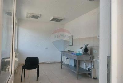 Spațiu comercial, de 2,500 mp, în Sângeorgiu de Pădure - 13