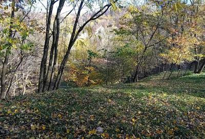 Teren de 1000 mp, în Brebu - 7