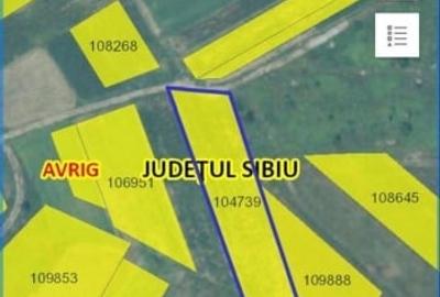 Teren Construcții intravilan de 2400 mp, în Nord - 3