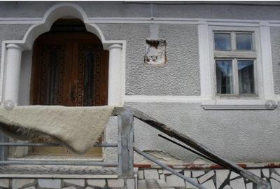 Casă cu 3 camere cu Teren 509 Mp în Poiana Sibiului - 6
