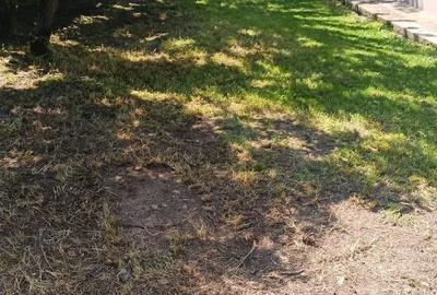 Casă cu 5 camere cu Teren 1106 Mp în Letca Nouă - 3