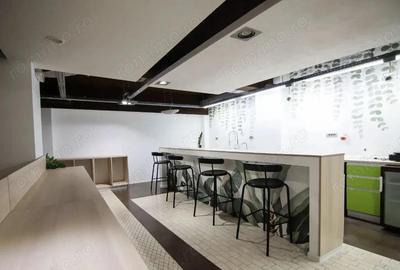 Spațiu comercial, de 475 mp, în Kiseleff - 6