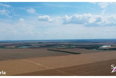 Teren de 9300 mp, în Frumușani