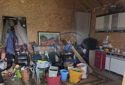 Casă cu 1 camere cu Teren 3000 Mp în Satulung - 9