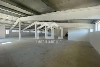 De închiriat: Hală de depozitare și producție în Jucu de Mijloc De închiriat: Hală de depozitare și producție în Jucu de Mijloc - 2