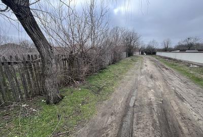 Spațiu comercial, în Dănceu - 4