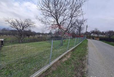 Teren de 1600 mp, în Păulești - 3