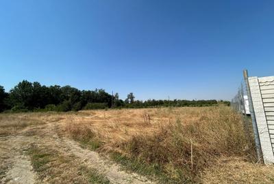 Teren intravilan, 400 MP, Cernele - 5