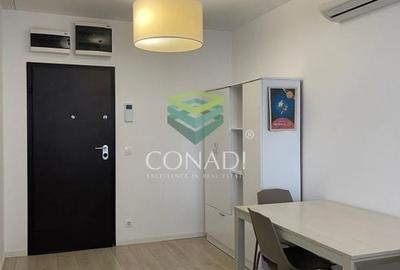 Apartament 2 camere de inchiriat in Aviatiei - City Point - 17