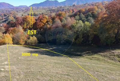 Teren valoros 2,000mp BRAN/Utilitati/Pensiune/Priveliste panoramica - 3