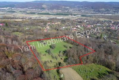 Teren 13.643 mp intravilan de vanzare in Curtea de Arge?. - 10