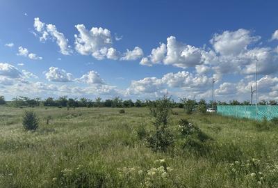 Teren de 1000 mp, în Fundeni - 5