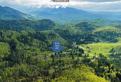 Teren intravilan Poiana Brasov - 8