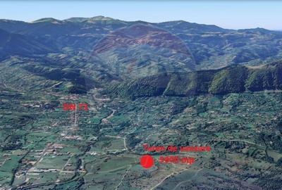 Teren Construcții intravilan de 5602 mp, în Tohanu Nou - 12