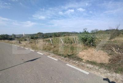 Casa 160mp utili+anexe+teren 67 ari intravilan,10 km distant - 10