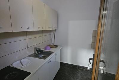 Proprietate speciala Dumbravita - casa individuala !! - 10