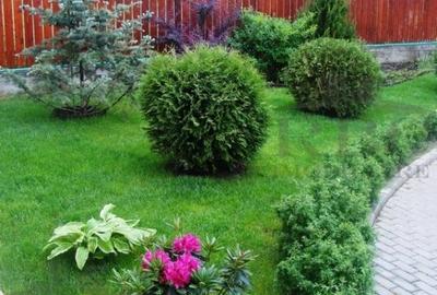 Casa cu piscina si teren 1400 mp in Chinteni - 4