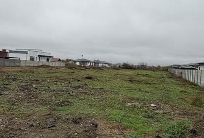 Tamasi, Corbeanca – teren 9838 mp - 6