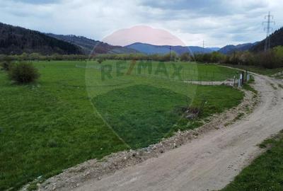 Teren agricol extravilan de 3157 mp, în Exterior Est - 6