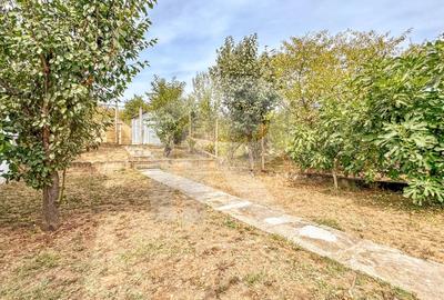 Casa | 356 mpc | Lot 1422 mp | Atelier de creatie | Locuinta/sediu | Baicoi - 22