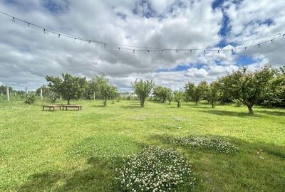 Casa P+M ideala pentru 2 familii aproape de Techirghi... - 16