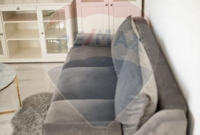 Apartament de lux de inchiriat - 13