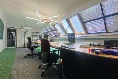 Cismigiu-Mircea Vulcanescu Cismigiu-Mircea Vulcanescu - 4