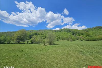 Teren de 5370 mp, în Oituz - 5