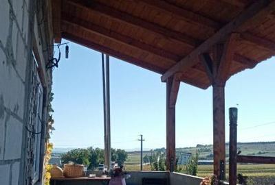 Vila in Rusii Manastioara - 7