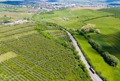 Spațiu comercial, în Spătărești