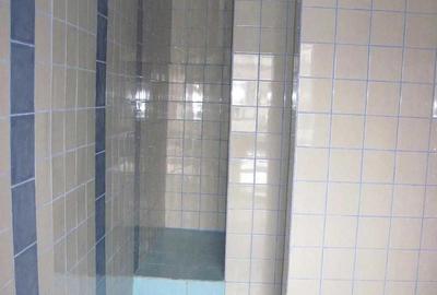 Spatiu comercial productie , Giule?ti Spatiu comercial productie , Giule?ti - 1