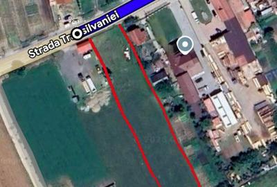 Teren de 3109 mp, în Mihai Viteazu - 1