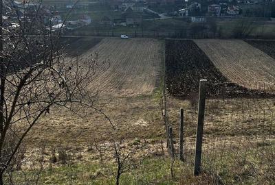 Teren de 9000 mp, în Baciu - 2