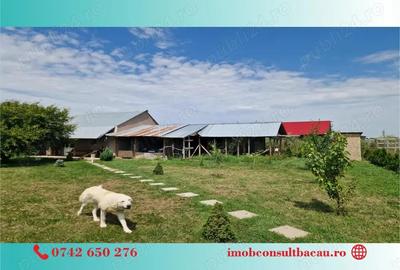 Un colt de rai pe-un picior de plai! CE1210 - 3