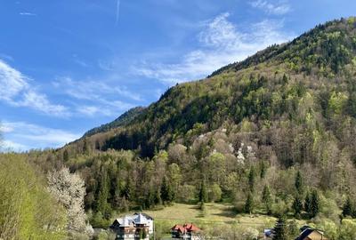 Teren panoramic insorit, utilitati, panta mica si padure, turism sau vacanta - 10