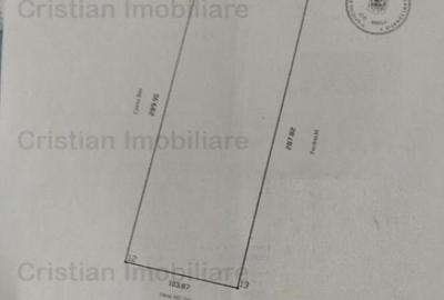 Teren intravilan de constructii Chercea St - 30000 mp cu 50m - 1