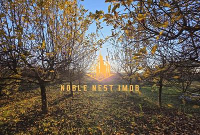 Casă cu 4 camere cu Teren 2340 Mp în Central