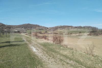 Teren intravilan cu suprafa?a de 9ha, Aninoasa - 7