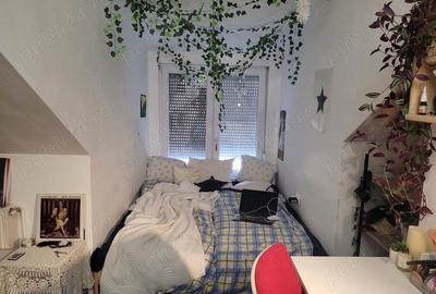 Casa P+M, 4 camere, str. Tudor Vladimirescu, 326 mp teren - 2