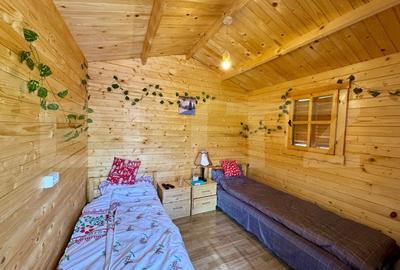 Cabane de vanzare, cu 3 camere, 50 mp, zona Brad