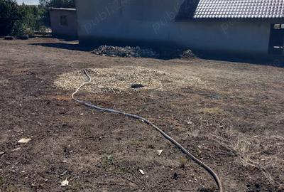 Vand casa Botoroaga, Teleorman - 2