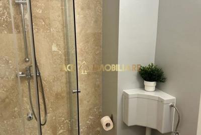 Garsonieră, mobilată în Băneasa - 2