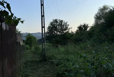 Teren de 4450 mp, în Șoimuș - 5
