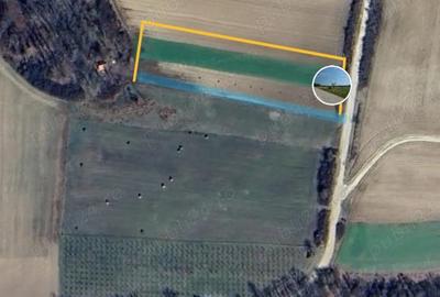 Teren de 8700 mp, în Ramna - 8