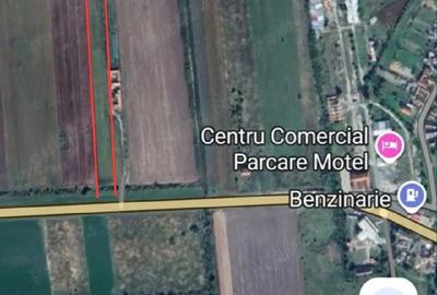 Teren de 10000 mp, în Izvin - 1